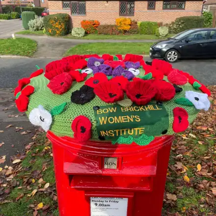 A crocheted poppy postbox topper made for Bow Brickhill Women's Institute